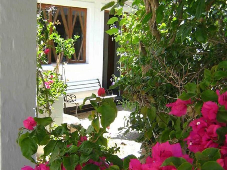סווקופמונד Alternative Space B & B מראה חיצוני תמונה